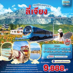 เธอชอบมองเขา... ลี่เจียง ต้าหลี่ เมืองโบราณไป๋ชา นั่งรถไฟชมวิวภูเขาหิมะมังกรหยก 5วัน 4คืน