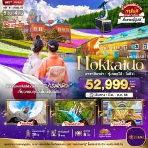 HOKKAIDO อาซาฮิกาว่า ทุ่งดอกไม้ โมอิวะ 6 วัน 4 คืน