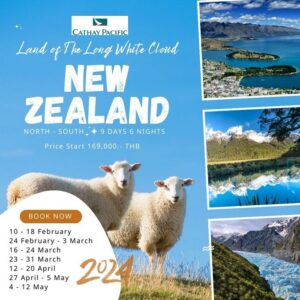 ทัวร์นิวซีแลนด์ NEW ZEALAND NORTH SOUTH 9DAYS