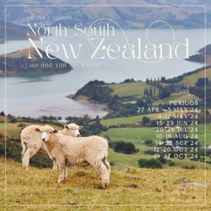 ทัวร์นิวซีแลนด์ NEW ZEALAND NORTH SOUTH 9DAYS