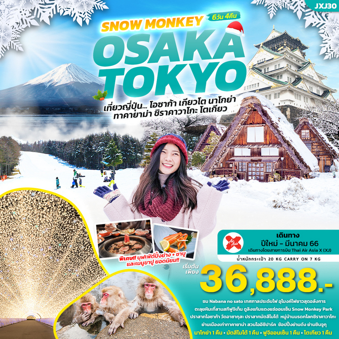 ทัวร์ญี่ปุ่น SNOW MONKEY OSAKA TOKYO 6วัน 4คืน