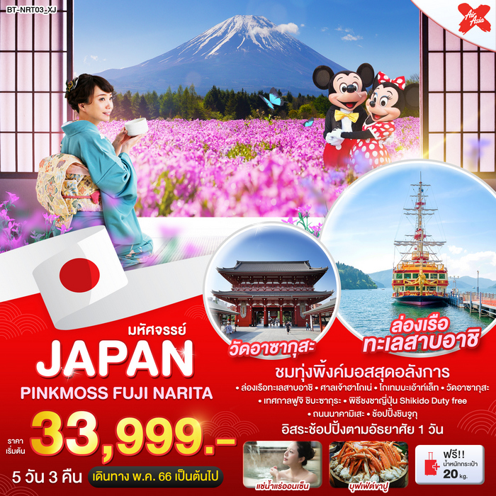 มหัศจรรย์…JAPAN พิ้งค์มอส ฟูจิ นาริตะ 5วัน 3คืน