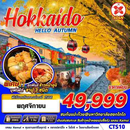ทัวร์ฮอกไกโด HOKKAIDO HELLO AUTUMN 6วัน 4คืน