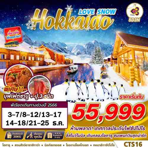 ทัวร์ฮอกไกโด HOKKAIDO WINTER LOVE SNOW