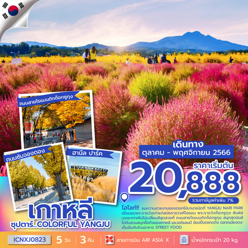 “ทัวร์เกาหลี