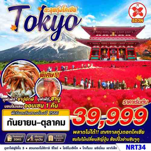 ทัวร์โตเกียว TOKYO ตะลุยทุ่งโคเชีย 5วัน 3คืน