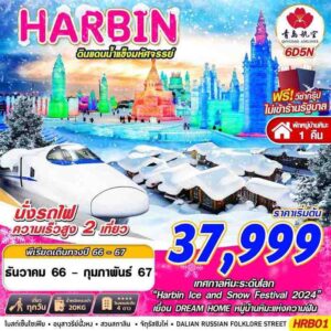 ทัวร์ฮาร์บิ้น HARBIN ต้าเหลียน ดินแดนน้ำแข็งมหัสจรรย์ 6D5N