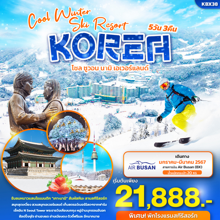 COOL WINTER SKI RESORT KOREA โซล ซูวอน นามิ เอเวอร์แลนด์ 5วัน 3คืน