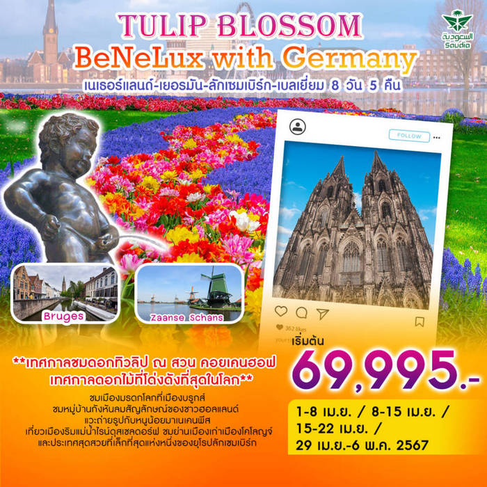 TULIP BLOSSOM BENELUX WITH GERMANY 8D5N BY SV 8วัน 5คืน