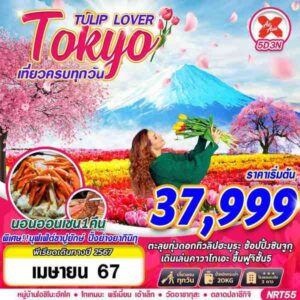 ทัวร์โตเกียว TOKYO ตะลุยทุ่งทิวลิป (เที่ยวเต็ม) 5วัน 3คืน