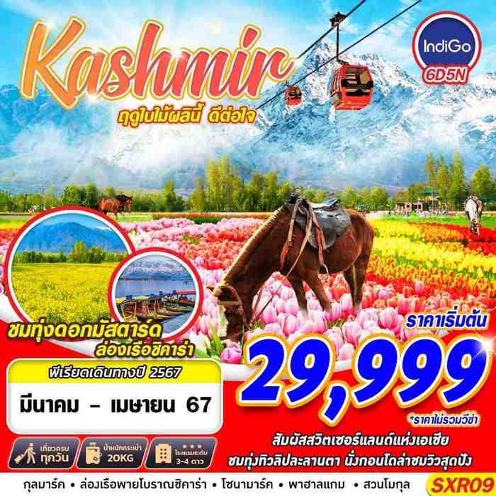 KASHMIR ฤดูใบไม้ผลินี้ ดีต่อใจ 6วัน 5คืน