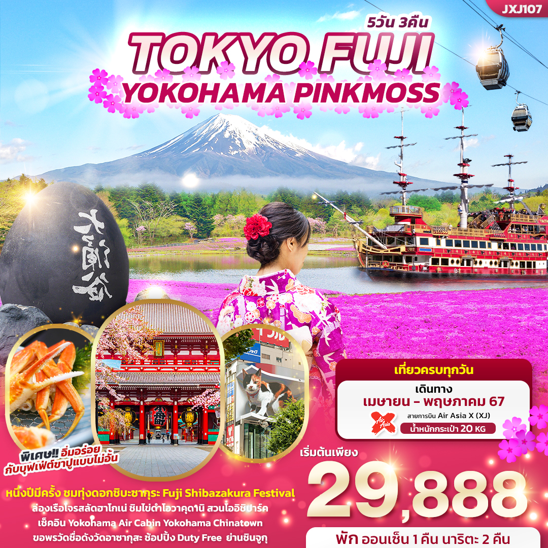 TOKYO FUJI YOKOHAMA PINKMOSS 5วัน 3คืน