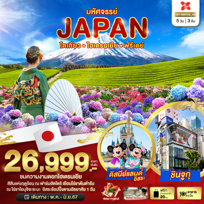 ทัวร์มหัศจรรย์...JAPAN โตเกียว ไฮเดรนเยีย ฟรีเดย์ 5วัน 3คืน