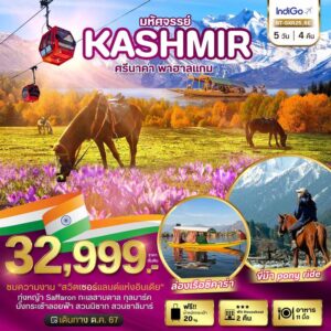 มหัศจรรย์...KASHMIR ศรีนาคา พาฮาแกม 5วัน 4คืน