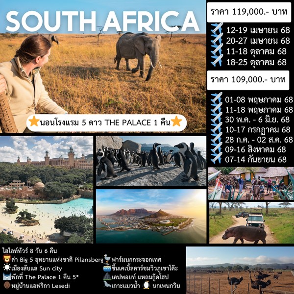 ทัวร์ South Africa 8 Days