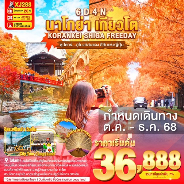 ทัวร์นาโกย่า อุโมงค์สนแดง สีสันแห่งญี่ปุ่น 6วัน 4คืน