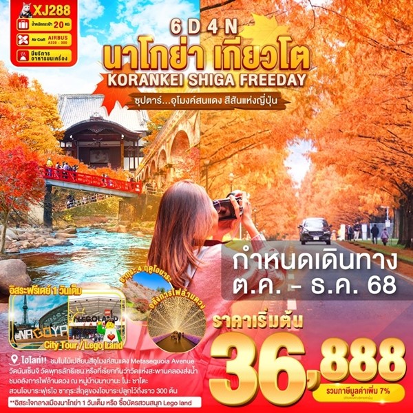 ทัวร์นาโกย่า อุโมงค์สนแดง สีสันแห่งญี่ปุ่น 6 วัน 4 คืน