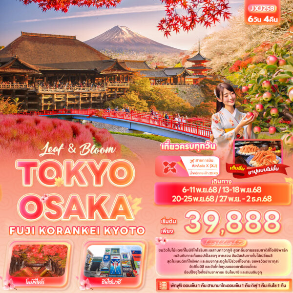 Leaf & Bloom TOKYO OSAKA FUJI KORANKEI KYOTO 6วัน 4คืน