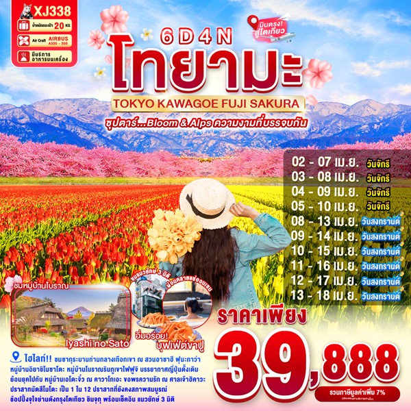 ทัวร์โทยามะ Bloom & Alps ความงามที่บรรจบกัน 6 วัน 4 คืน