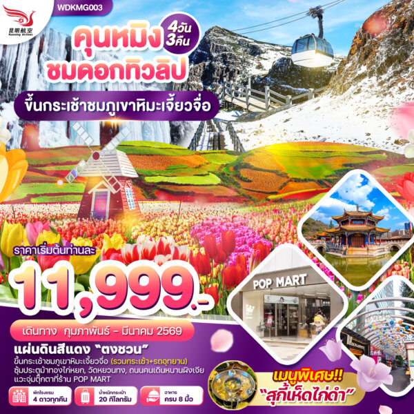 คุนหมิง ภูเขาหิมะเจี๋ยวจื่อ แผ่นดินสีแดง ชมสวนทิวลิป 4 วัน 3 คืน สายการบินคุนหมิง