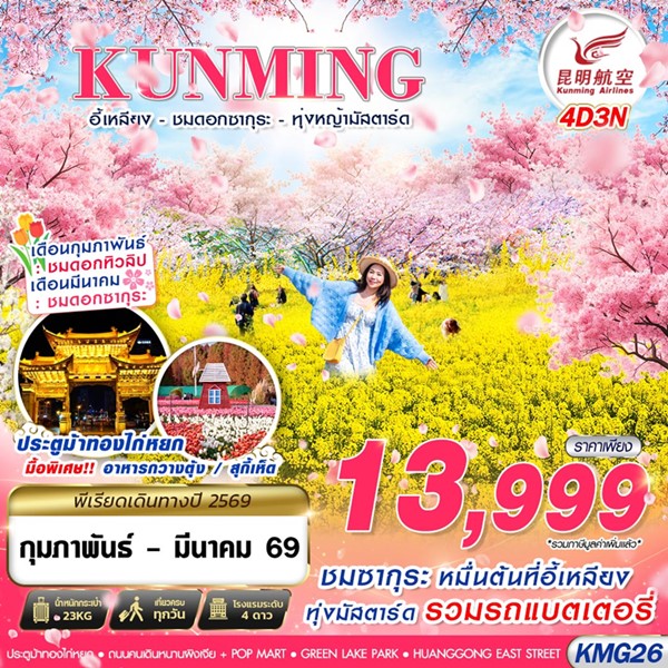 ทัวร์คุนหมิง อี้เหลียง ชมซากุระ ทุ่งหญ้ามัสตาร์ด 4 วัน 3 คืน