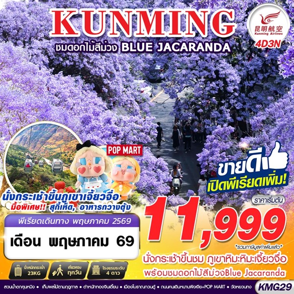 ทัวร์คุนหมิง ภูเขาหิมะเจี้ยวจื่อ ดอกไม้สีม่วง Blue Jacaranda 4วัน 3คืน