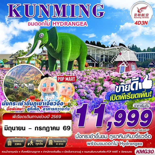 ทัวร์คุนหมิง ภูเขาหิมะเจี้ยวจื่อ ดอกไม้ Hydrangea 4วัน 3คืน